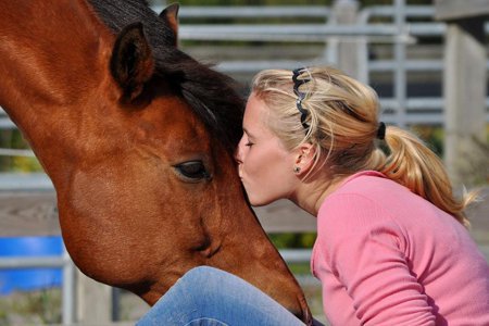 Horse Health Hotline for Holistic Horse Health Issues