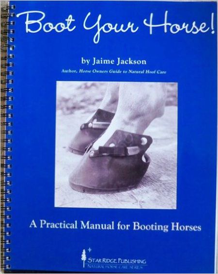 Guide to Booting Horses for Horse Care Professionals