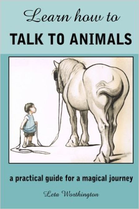 Learn How to Talk to Animals – A Practical Guide for a Magical Journey