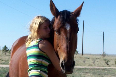 Online Course about Holistic Horse Care