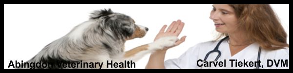 Carvel Tiekert , DVM