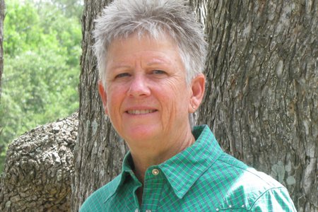 Horse Health Blog for Holistic Horse Health Issues